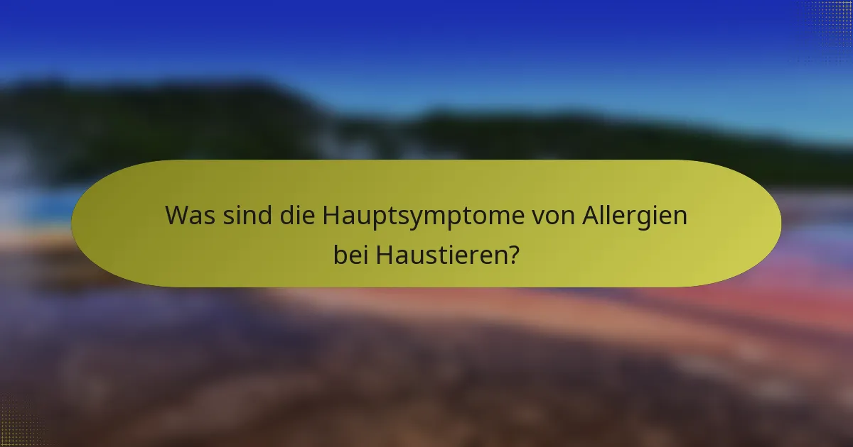Was sind die Hauptsymptome von Allergien bei Haustieren?