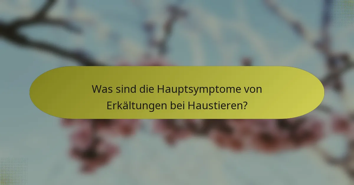 Was sind die Hauptsymptome von Erkältungen bei Haustieren?