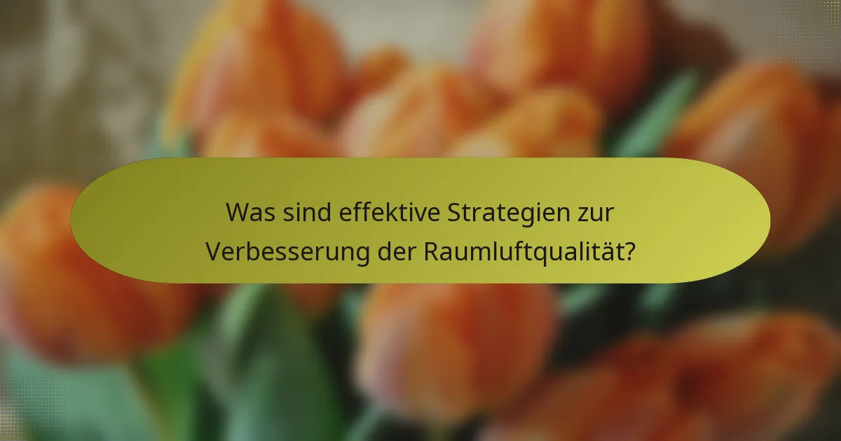 Was sind effektive Strategien zur Verbesserung der Raumluftqualität?