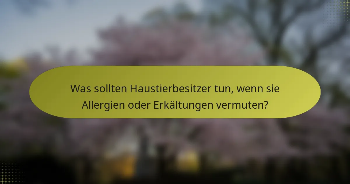 Was sollten Haustierbesitzer tun, wenn sie Allergien oder Erkältungen vermuten?