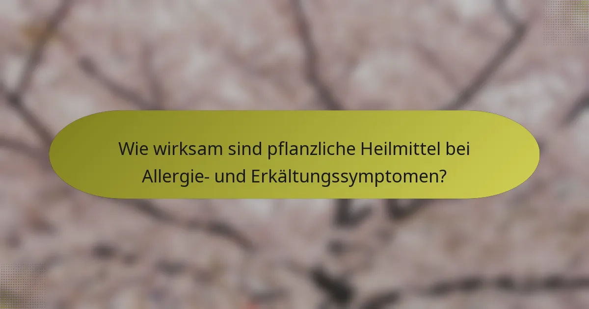 Wie wirksam sind pflanzliche Heilmittel bei Allergie- und Erkältungssymptomen?